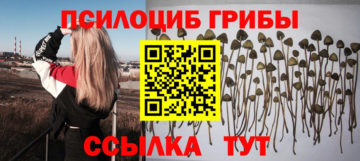 Псилоцибиновые грибы GOLDEN TEACHER Ртищево